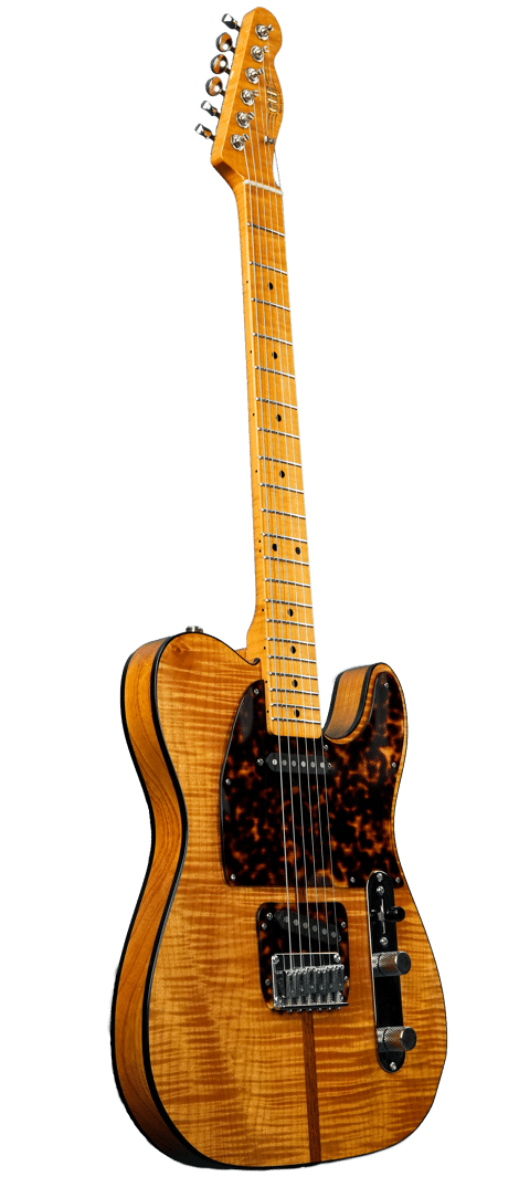 Gun Guitars Mad Cat 2013